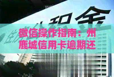 微信操作指南：州鹿城信用卡逾期还款全攻略
