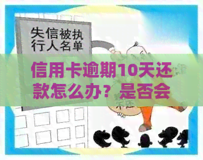 信用卡逾期10天还款怎么办？是否会影响信用及如何解决？
