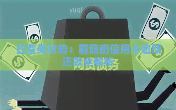 白富美攻略：蘑菇街信用卡逾期还款全解析