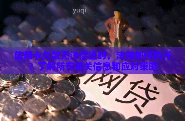 信用卡欠款无法偿还时，法院如何执行？了解所有相关信息和应对策略