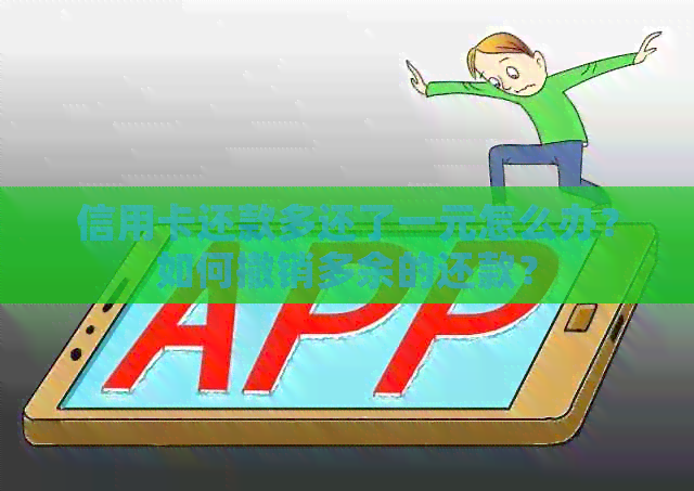 信用卡还款多还了一元怎么办？如何撤销多余的还款？