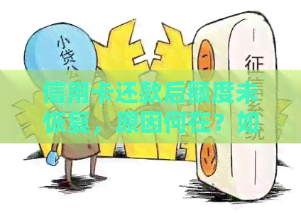 信用卡还款后额度未恢复，原因何在？如何解决此问题？