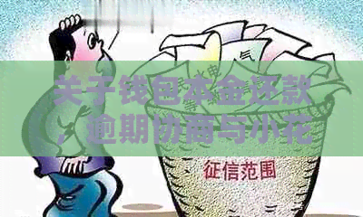 关于钱包本金还款，逾期协商与小花的建议探讨