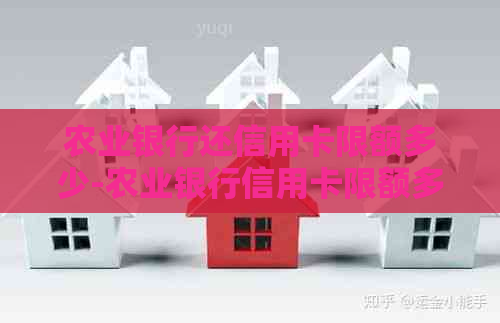 农业银行还信用卡限额多少-农业银行信用卡限额多少一天
