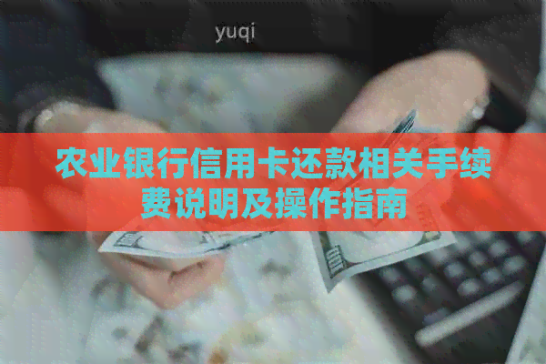 农业银行信用卡还款相关手续费说明及操作指南