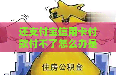 还支付宝信用卡付款付不了怎么办是您的问题吗？请问您需要什么帮助？