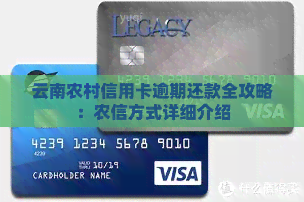 云南农村信用卡逾期还款全攻略：农信方式详细介绍