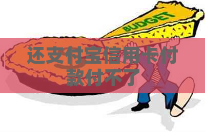 还支付宝信用卡付款付不了