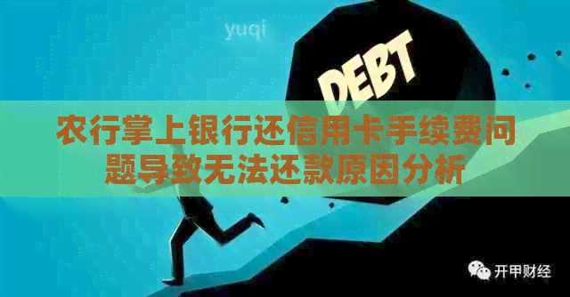 农行掌上银行还信用卡手续费问题导致无法还款原因分析