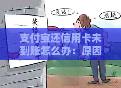 支付宝还信用卡未到账怎么办：原因分析、解决方法及注意事项