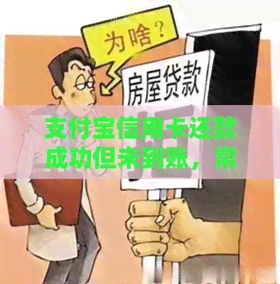支付宝信用卡还款成功但未到账，常见解决方法与注意事项