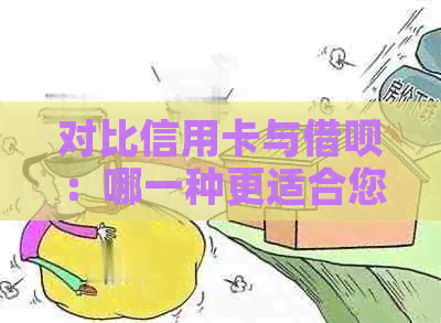 对比信用卡与网贷：哪一种更适合您？