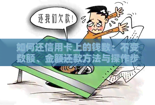 如何还信用卡上的钱数：不变数额、金额还款方法与操作步骤