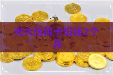 光大信用卡没还2个月