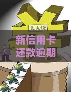 新信用卡还款逾期，多还的钱如何查看和处理？