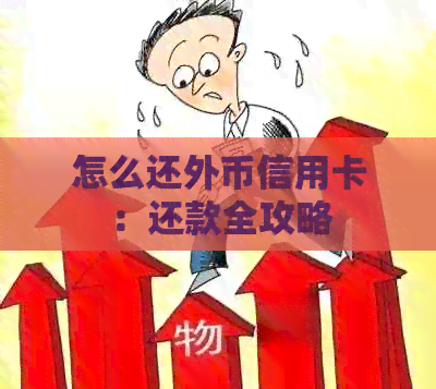 怎么还外币信用卡：还款全攻略