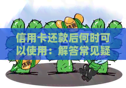 信用卡还款后何时可以使用：解答常见疑问