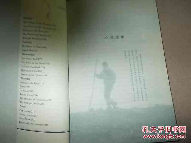 漫步笔端，沉思作文：文库中的心灵旅程