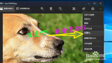 如何AI生成一个宠物固定到自定义背景：实现个性化宠物照片教程