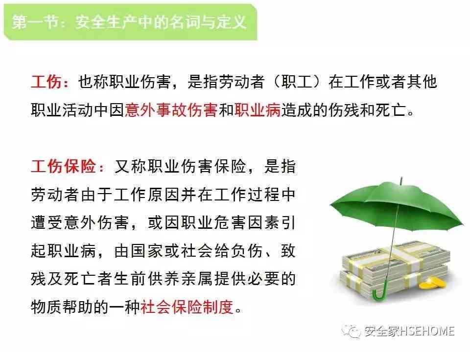 '斑马招聘新员工：全面入职培训指南'