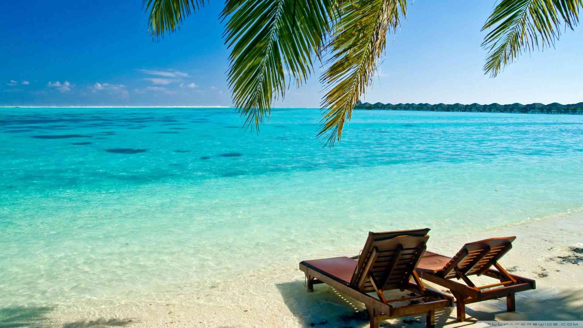 ai生成大海风景壁纸软件与使用