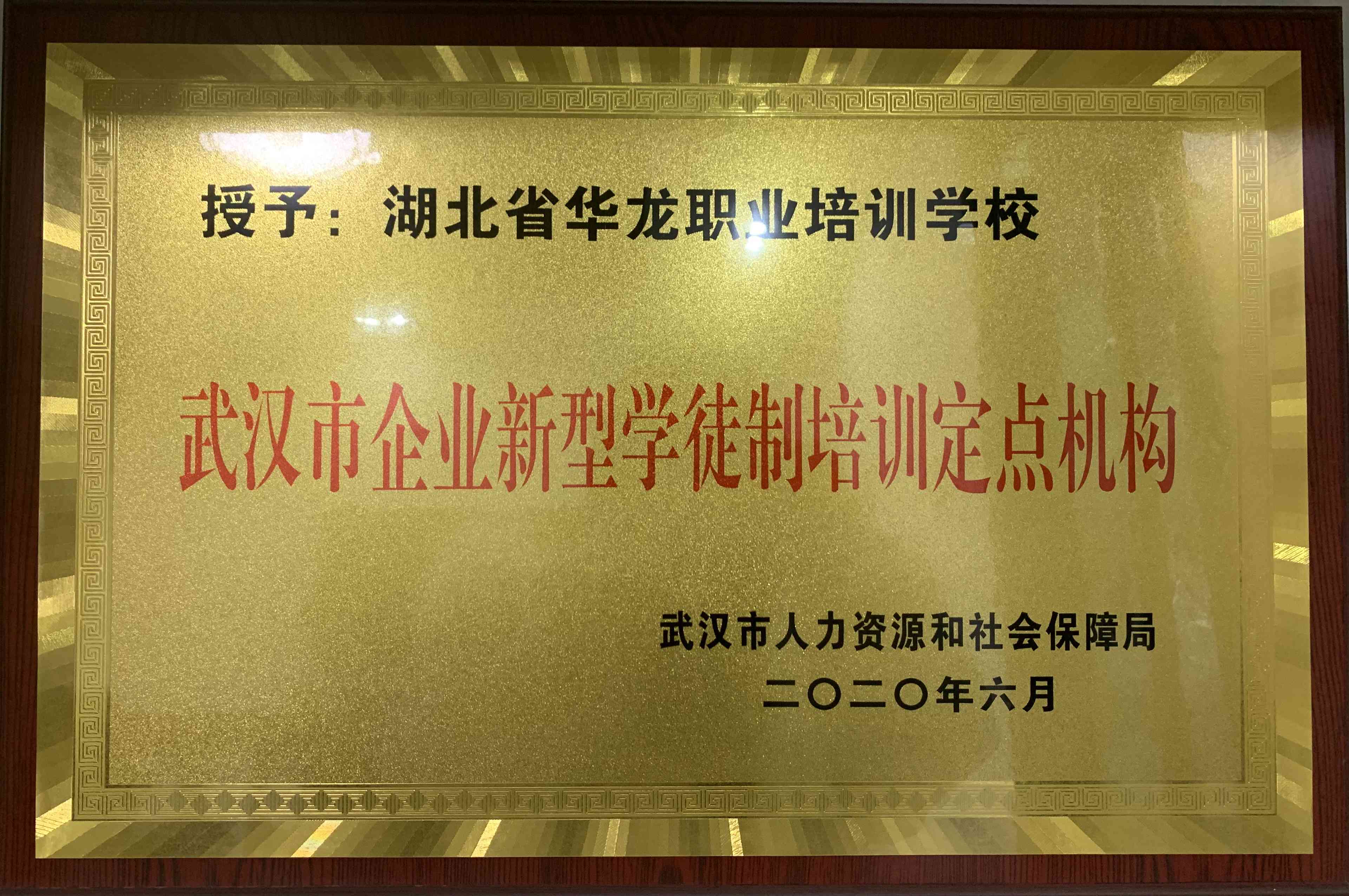 湖北省华龙职业培训学校——专业AI技能培训机构