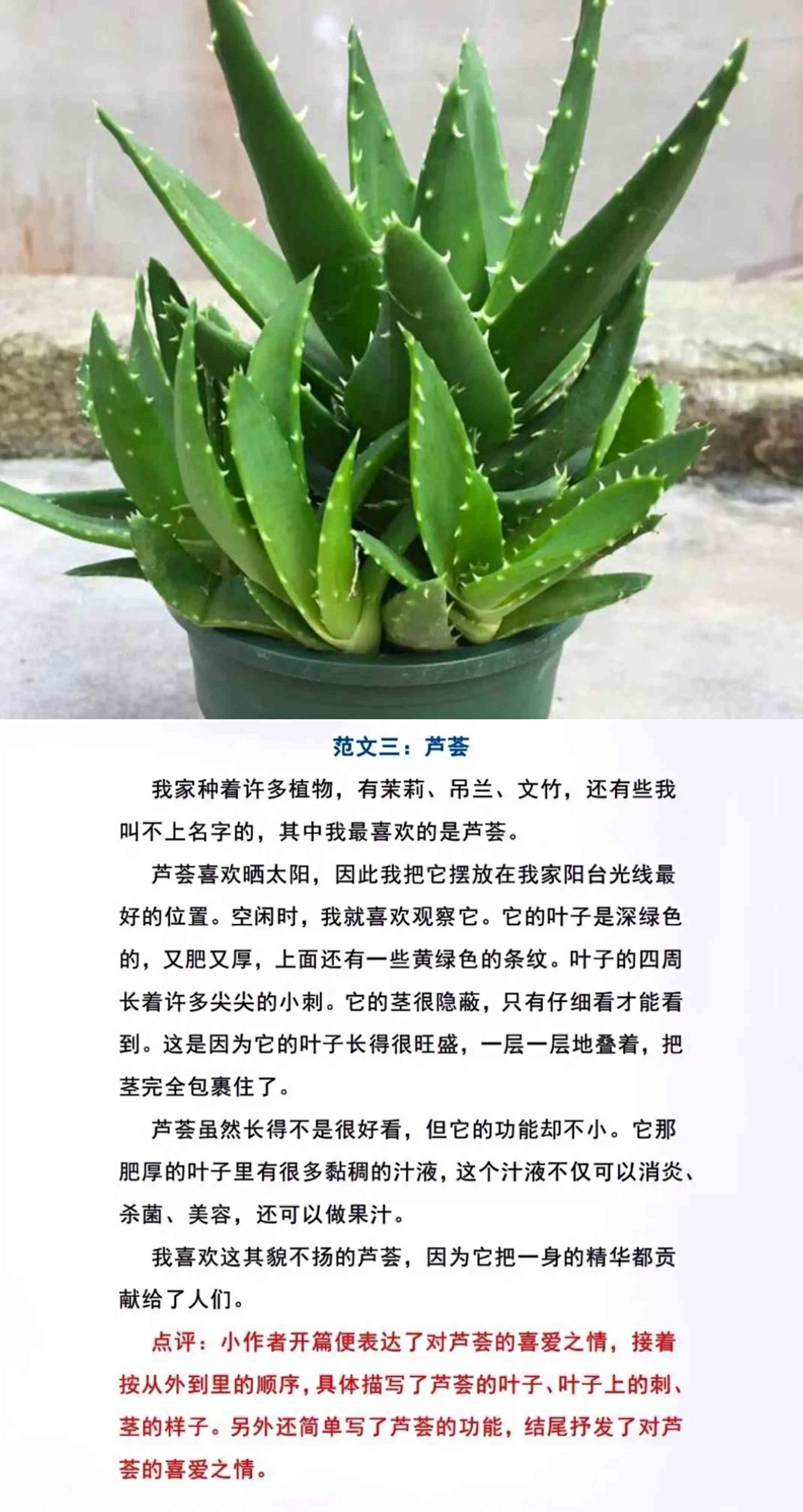 智能写作工具：AI一键生成作文利器