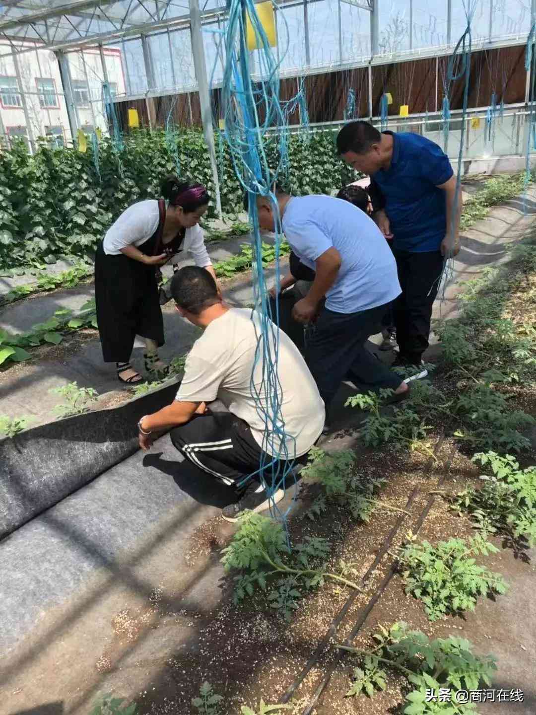 寿光AI智能客服运营培训
