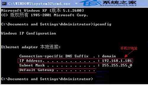 如何解决上PSAI生成速度慢的问题：有效方法与技巧