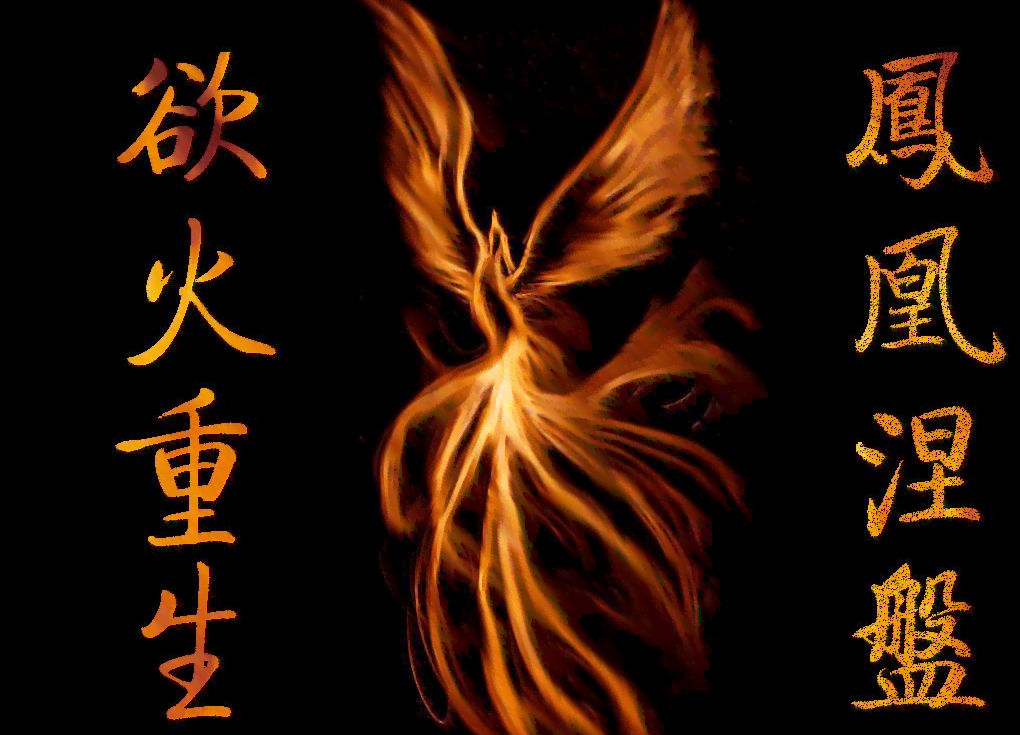 中国式成长：凤凰涅槃，国式出版见证中国成长轨迹