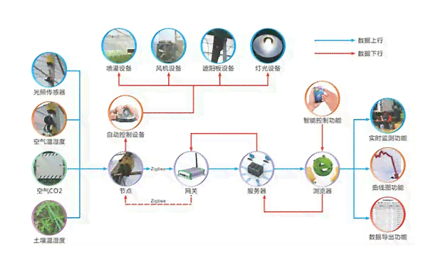 如何理解AI剪切组中的版功能及其作用是什么意思