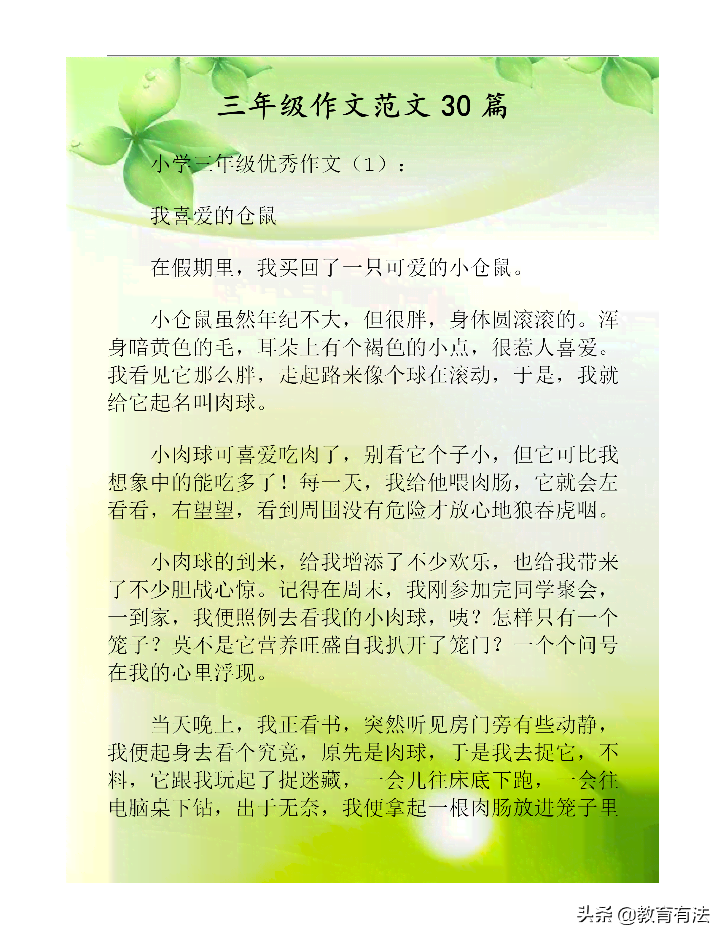 '豆包作文精选：经典范文汇编'