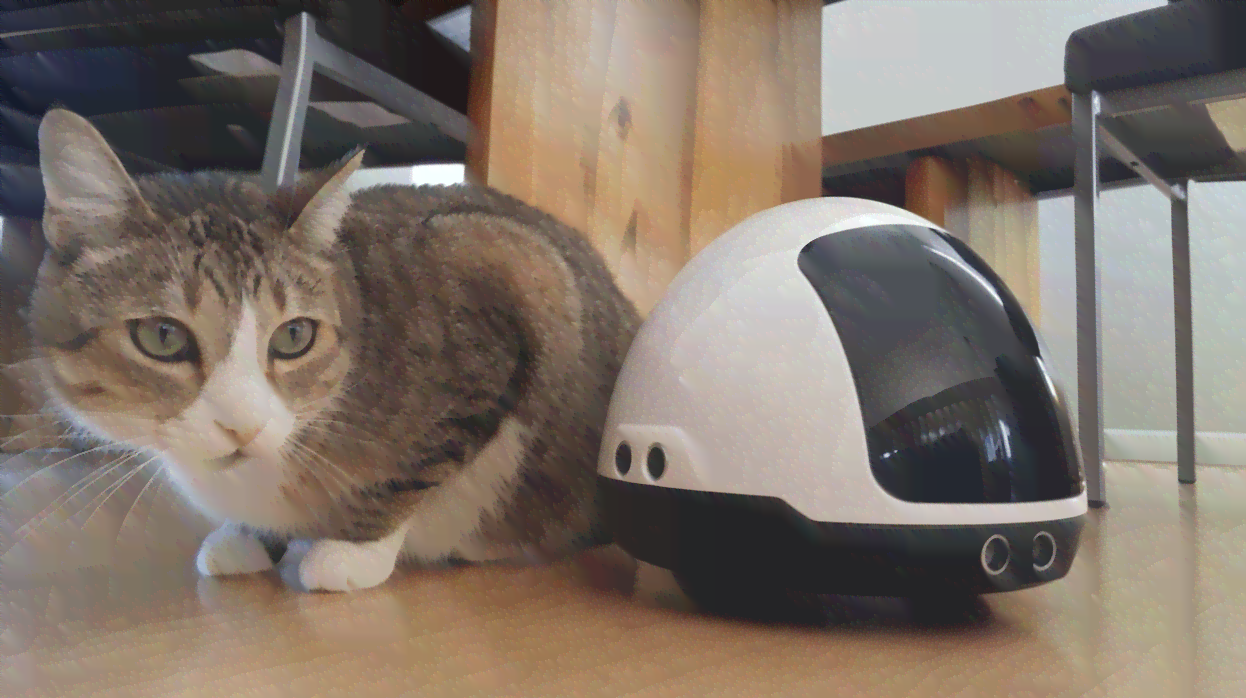 机器狸猫：智能宠物机器人，狸猫型外观，猫与狸特性融合