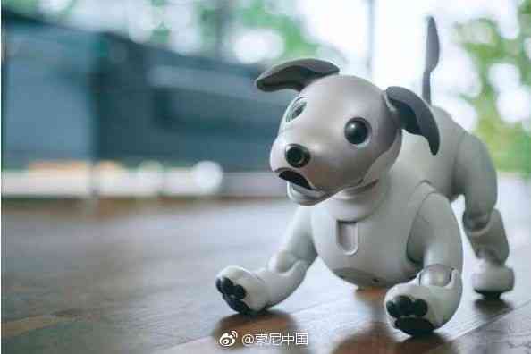 机器狸猫：智能宠物机器人，狸猫型外观，猫与狸特性融合