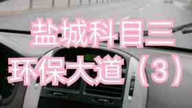 机器狸猫：智能宠物机器人，狸猫型外观，猫与狸特性融合