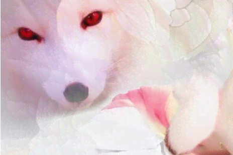 智能狸精：揭秘机器狸精的神奇功能与应用前景