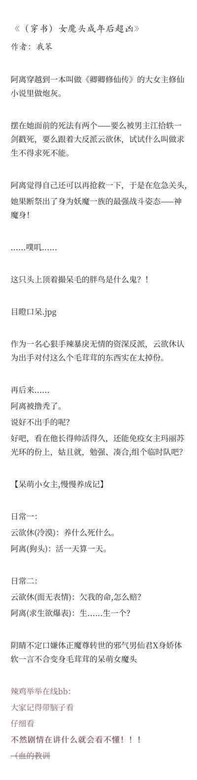 猴子无限打字定律：揭秘猴子随机打字悖论与表情包趣味解读