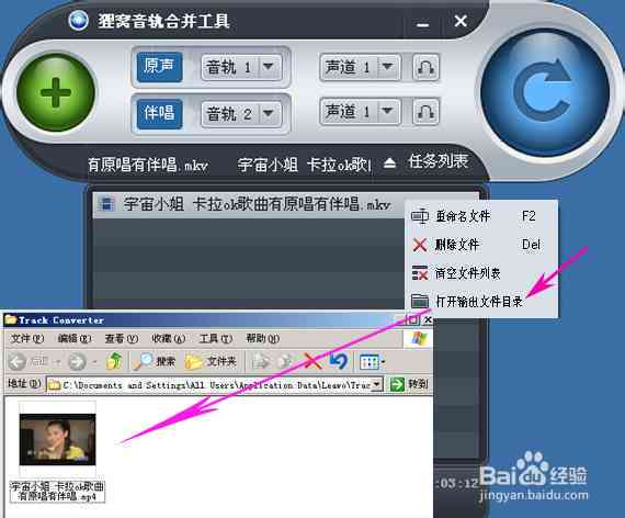阿卡拉分离音轨工具：专业拉音乐制作软件