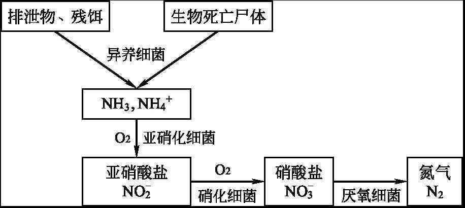 全面解析：P成下雨天的原因、影响与应对策略