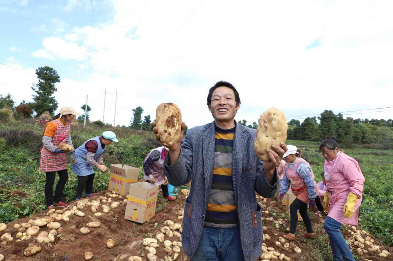 人工智能赋能舞蹈培训机构：智能培训新篇章