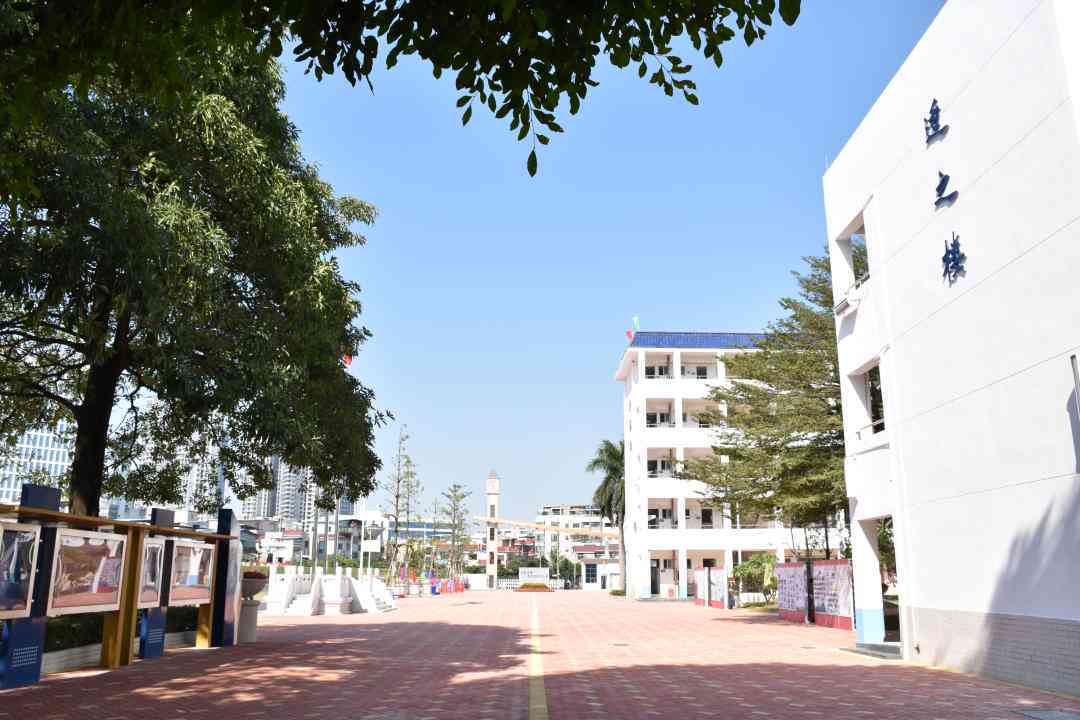 动漫AI绘画直播教学软件：全方位教程与实时互动体验，一键生成个性化作品