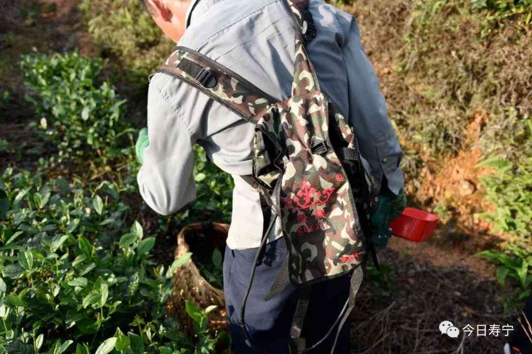 二三ai培训：探索人工智能在医疗、教育、金融领域的创新应用与未来发展