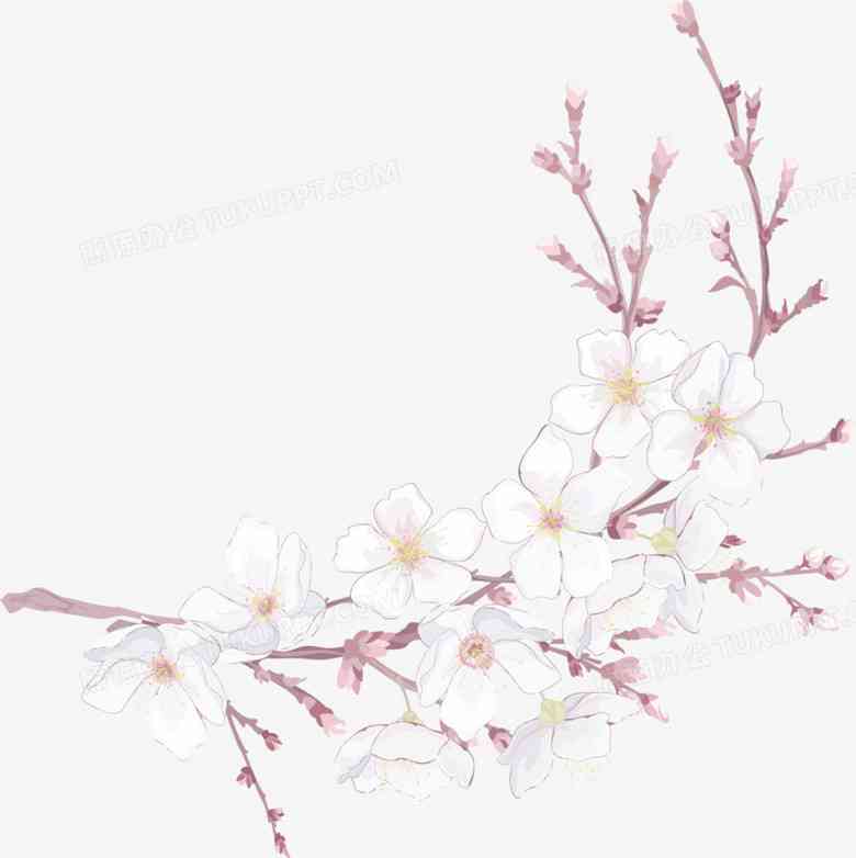 ai照片生成樱花