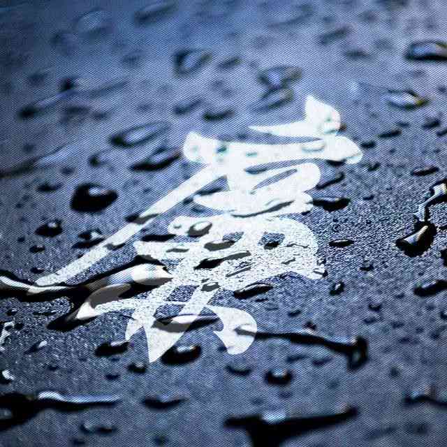 怎么用AI生成姓氏头像框——热门AI头像全解析
