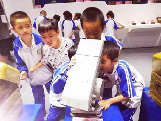 四川编程培训课程 | 软件开发技能提升 | 全方位编程教育资源指南