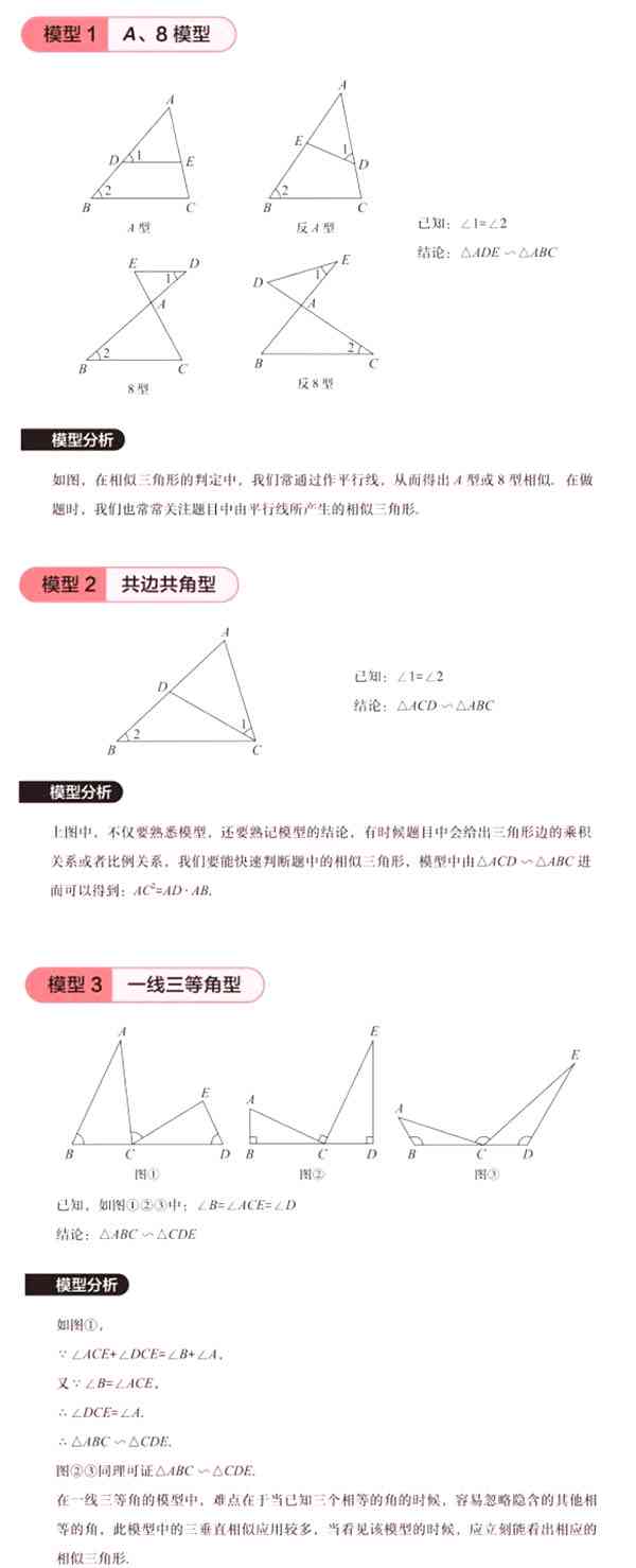 四大模型初中：涵初中与小学数学核心模型解析