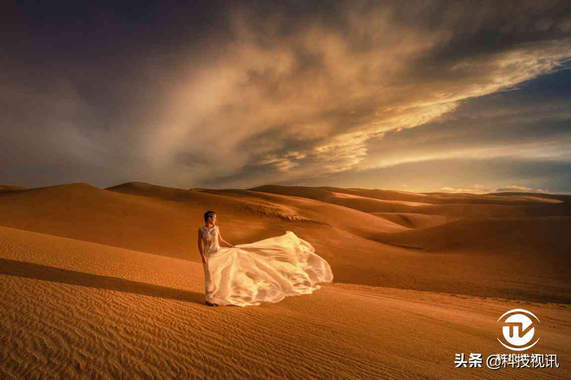 一站式婚纱定制软件：自动生成、编辑与打印，满足个性化婚纱设计需求