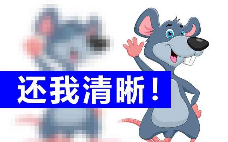 斑马英语口语课怎么样：价格、外教、强化班及一对一课程详解