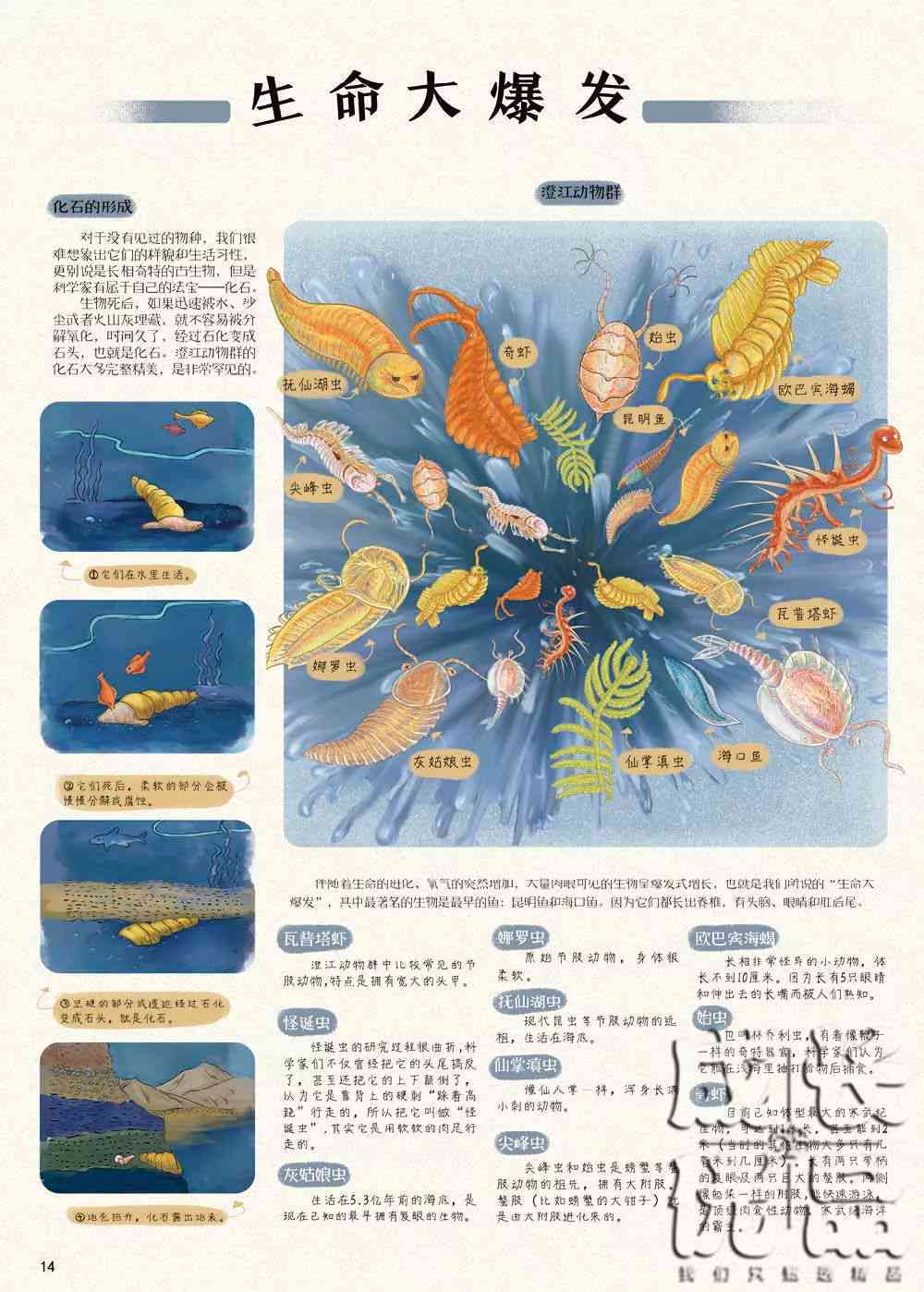 探索智能生命重生奇迹：全面解读智能生命再生与进化之谜