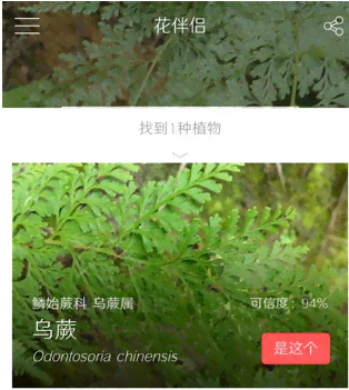 最新官方植物识别精灵软件手机版免费，形色伴侣安装体验